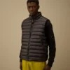 D.D. Shell donsvest met Lens