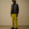 D.D. Shell donsvest met Lens